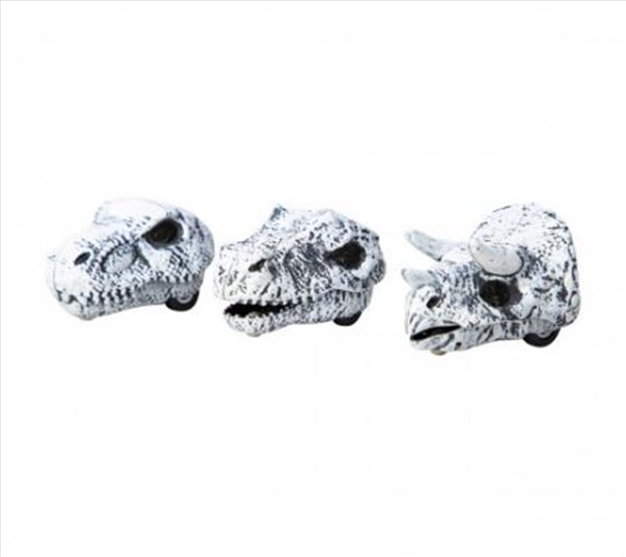 Schylling – Chomp & Go Dino Skulls (SENT AT RANDOM)/Product Detail/Toys