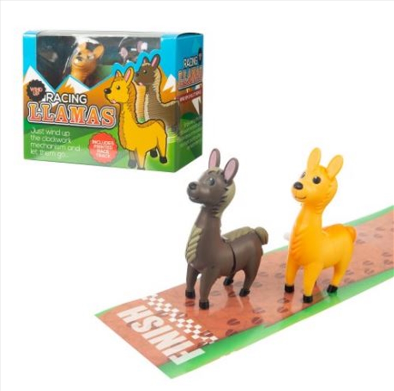 Funtime - Racing Llamas/Product Detail/Toys