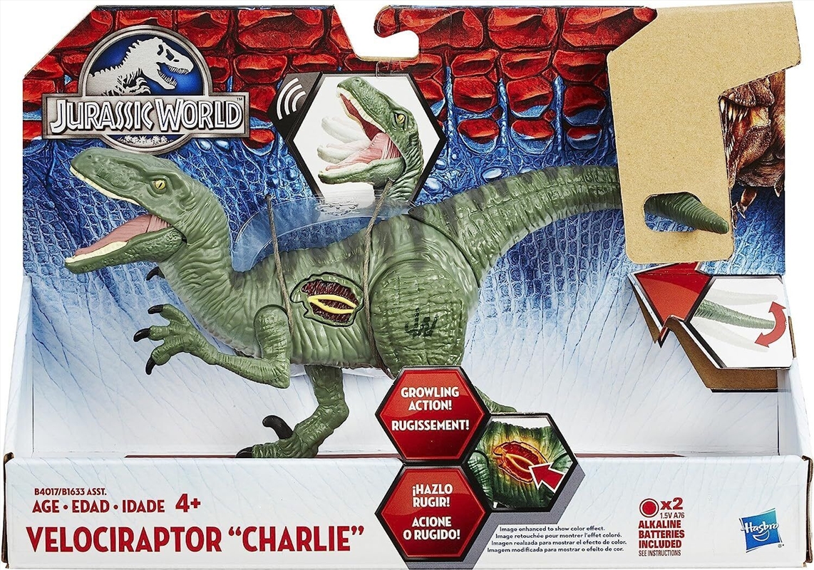 Hasbro Jurassic World Growler Velociraptor â€œCharlieâ€ With Sound and Lights 4+/Product Detail/Toys