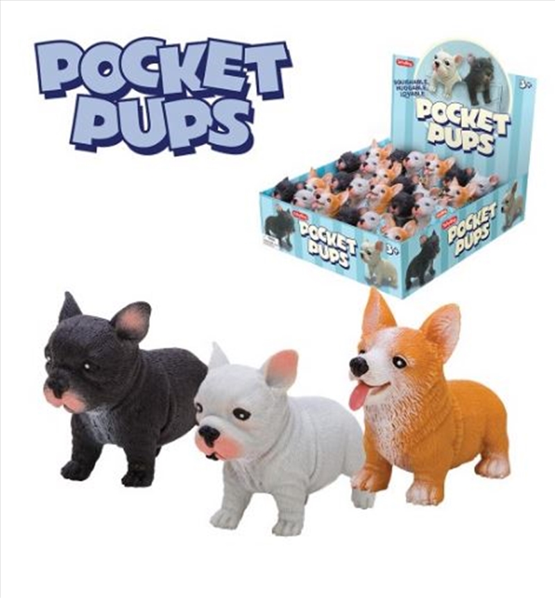 Schylling - Pocket Pups V3 (SENT AT RANDOM)/Product Detail/Toys