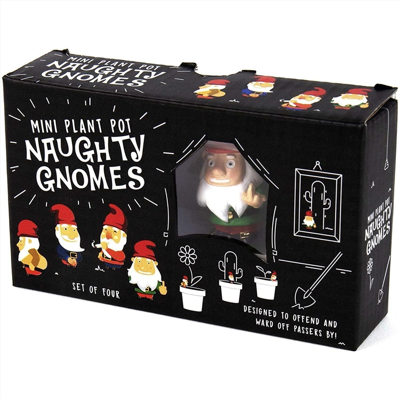 Naughty Gnomes Planters/Product Detail/Garden