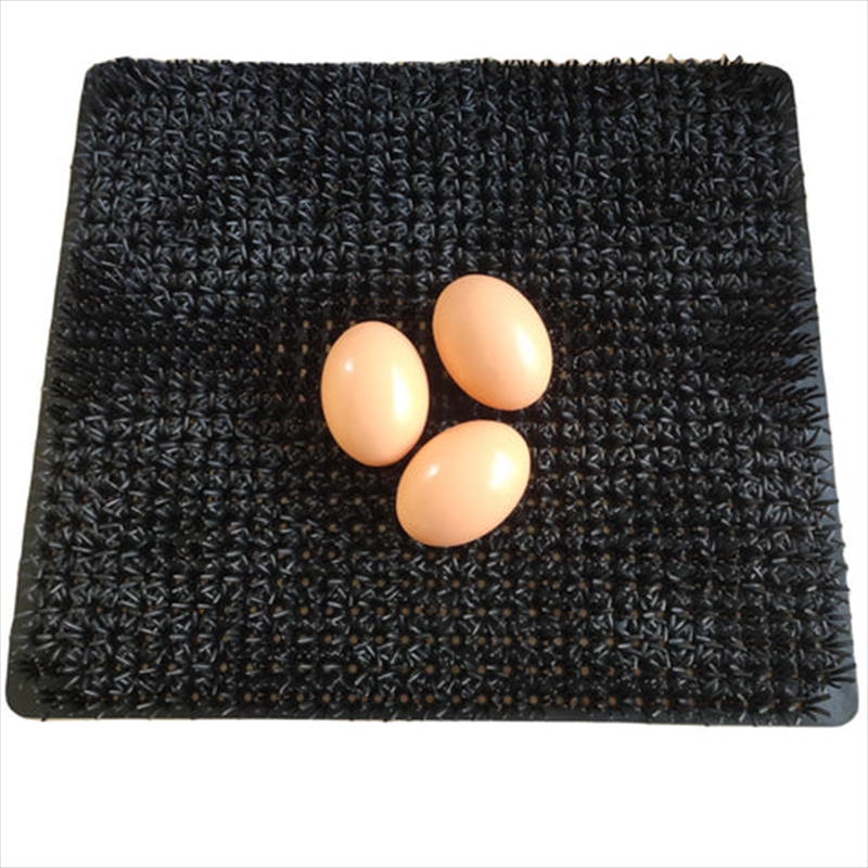 Cheeky Chooka Nesting Box Egg Mat/Product Detail/Pet Accessories