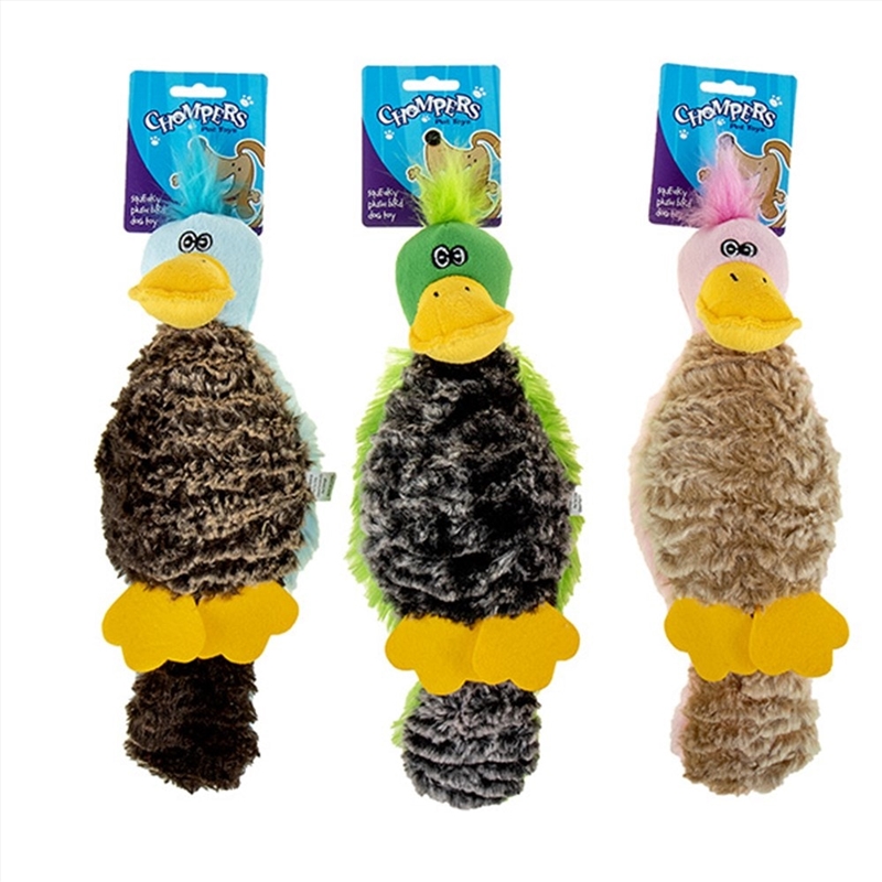 Chompers- Animals Plush dog toys with squeaker Bird 37CM -(1pc Random Colour)/Product Detail/Pet Accessories