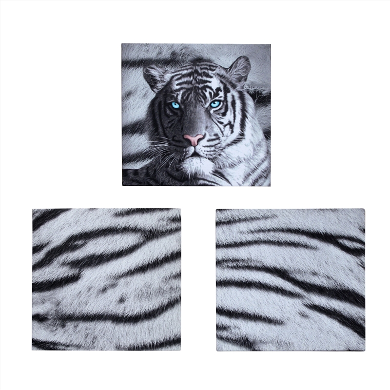 Just Home Set of 3 Printed Blue Eyes Stripes Tiger Wall Canvas/Product Detail/Clocks