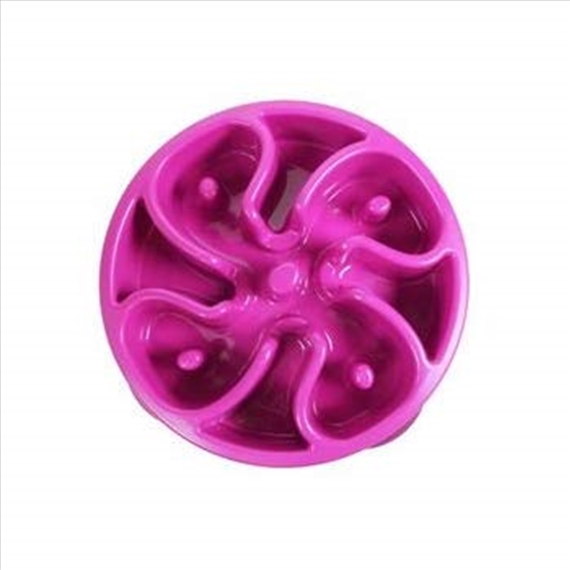 OUTWARD HOUND Slow Bowl Mini Pink/Product Detail/Pet Accessories