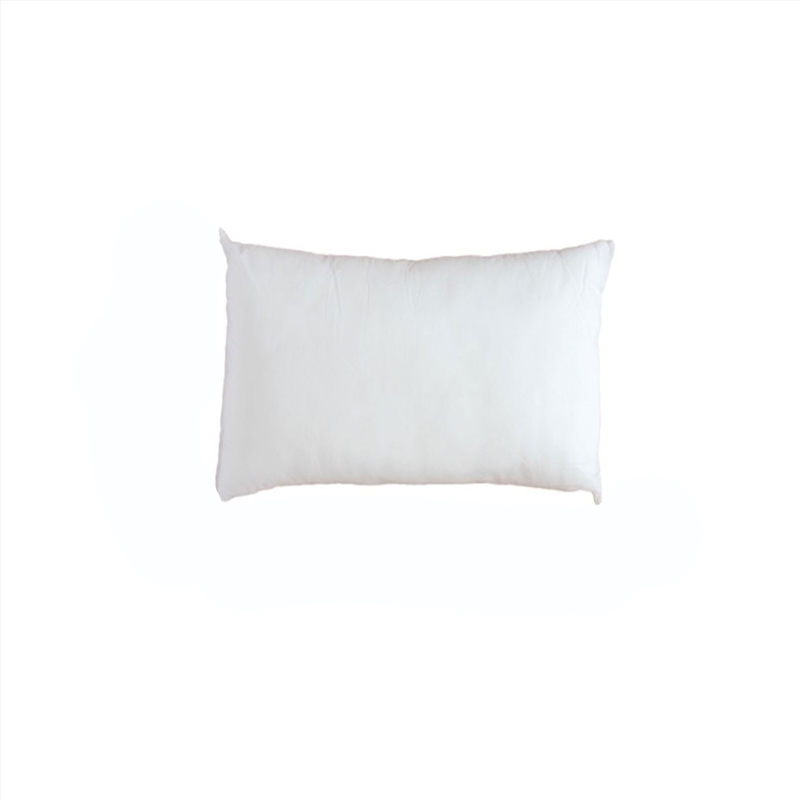 Easyrest Cushion Insert Rectangular 40 x 60cm/Product Detail/Cushions