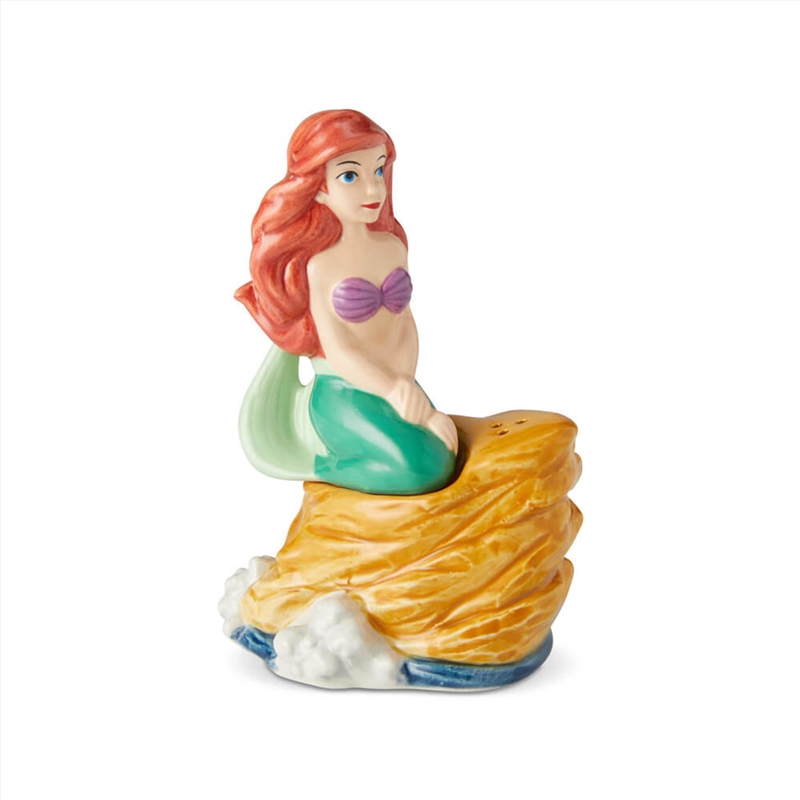 Salt & Pepper Shaker Set - Ariel On Rock/Product Detail/Tableware