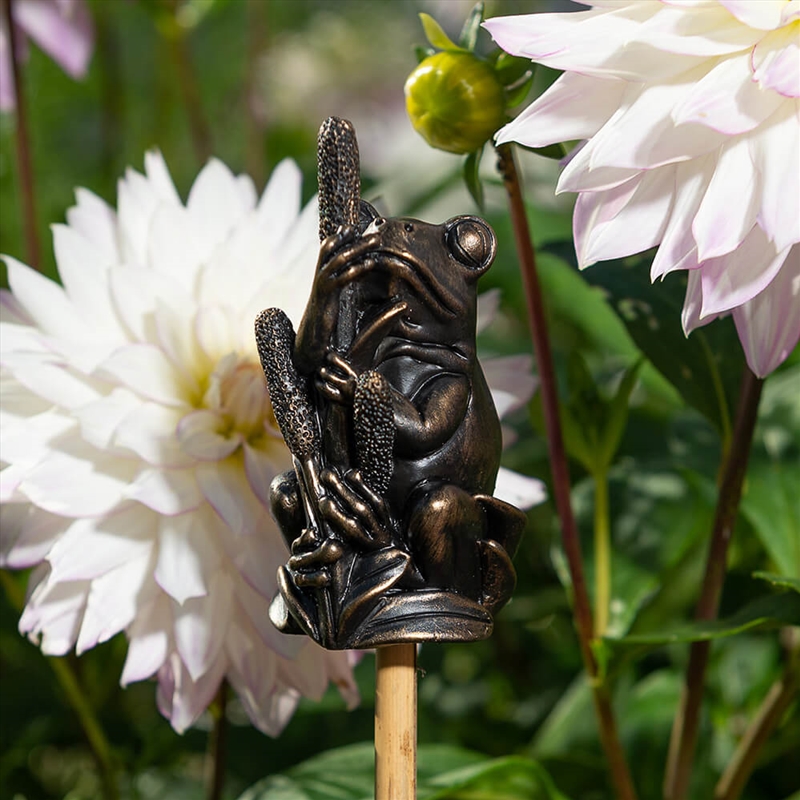 Topper - Antique Bronze Frog On Bullrush/Product Detail/Homewares