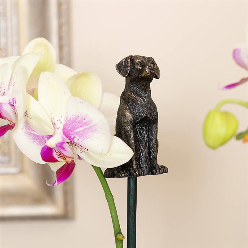 Topper - Antique Bronze Labrador/Product Detail/Homewares