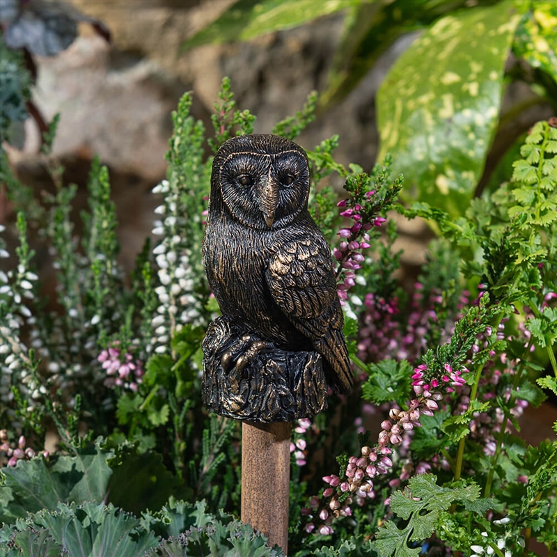 Topper - Antique Bronze Barn Owl/Product Detail/Homewares