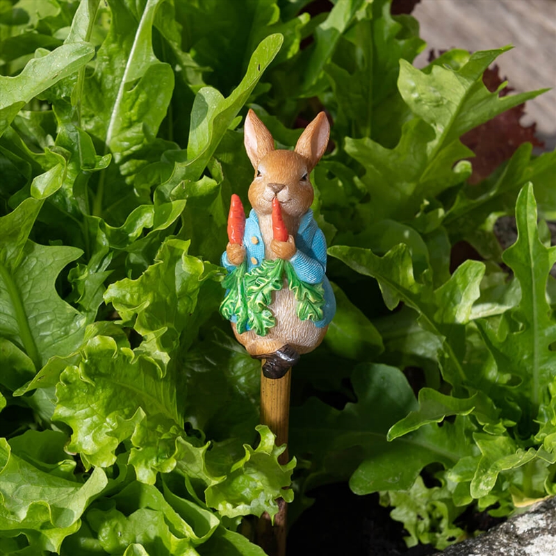 Topper - Beatrix Potter Peter Rabbit Eating Radishes/Product Detail/Homewares