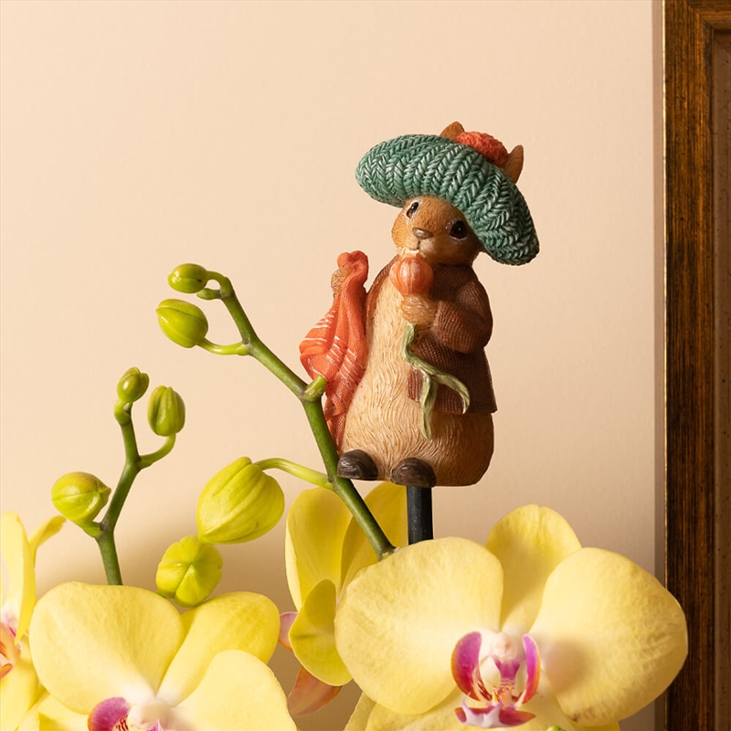 Topper - Beatrix Potter Benjamin Bunny/Product Detail/Homewares