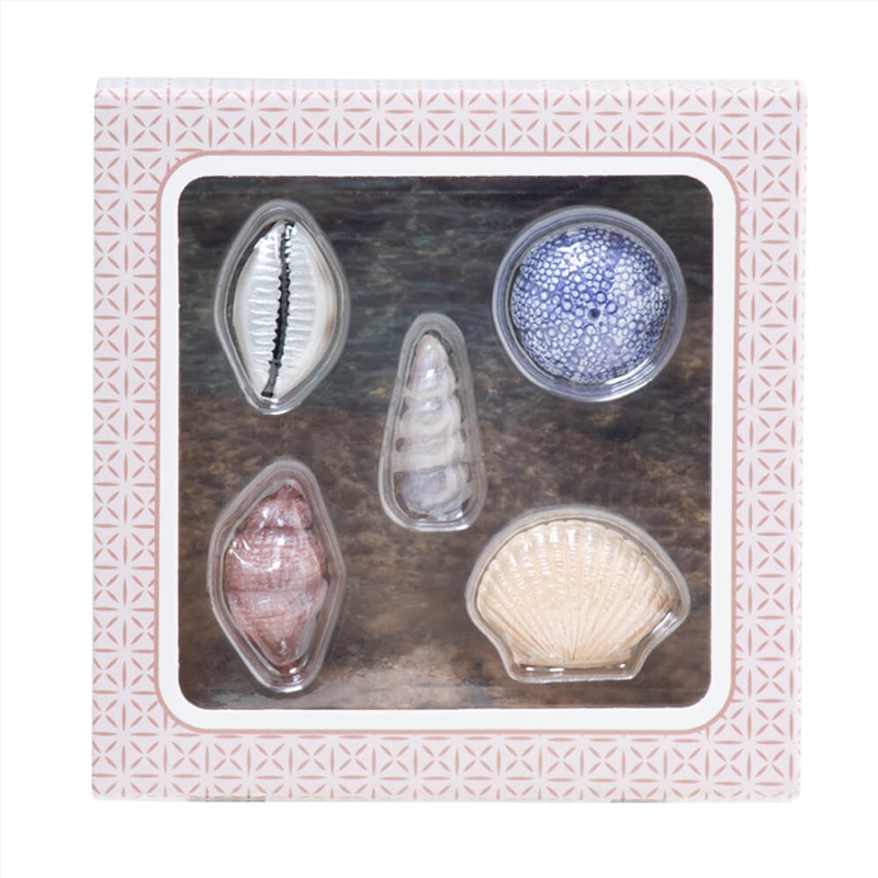 Diffuser Topper - Seashells (Set Of 5)/Product Detail/Burners and Incense