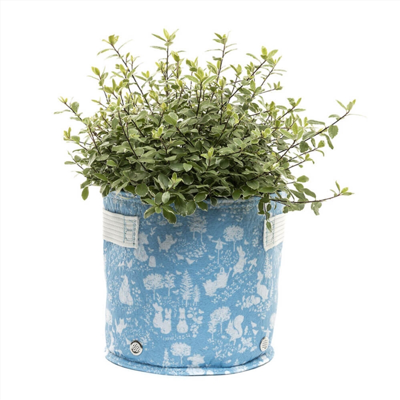 Eco Pot Fabric - Beatrix Potter Small Blue/Product Detail/Homewares