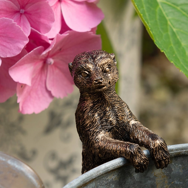 Pot Buddies - Antique Bronze Meerkat/Product Detail/Decor