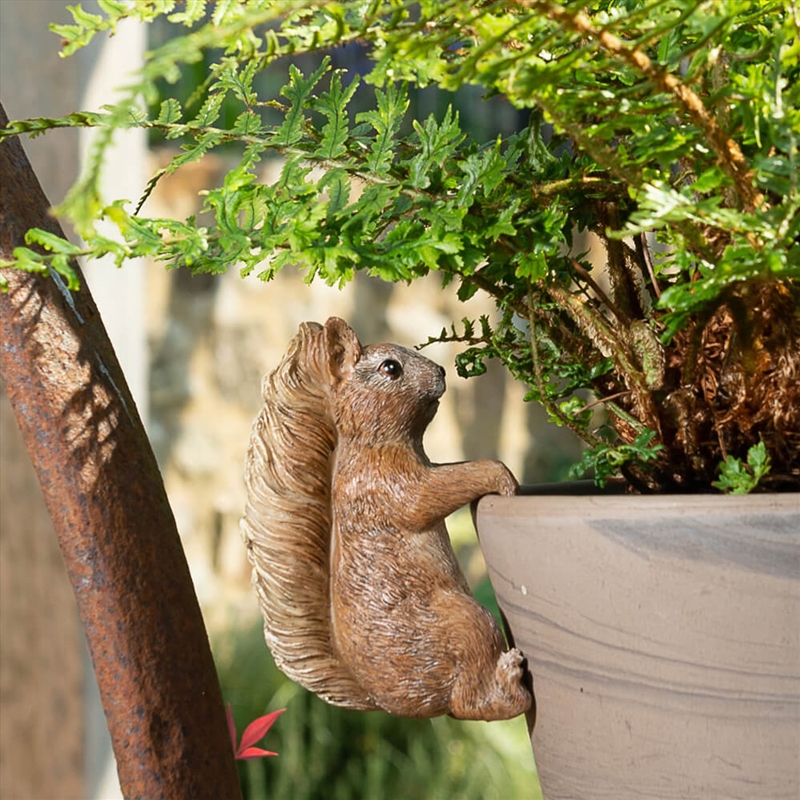 Pot Buddies - Beatrix Potter Squirrel Nutkin/Product Detail/Decor