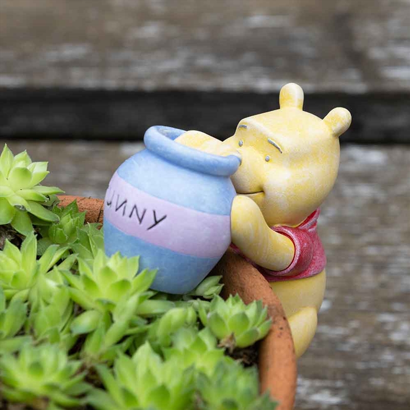 Pot Buddies - Wtp Pooh Holding Hunny Pot/Product Detail/Decor