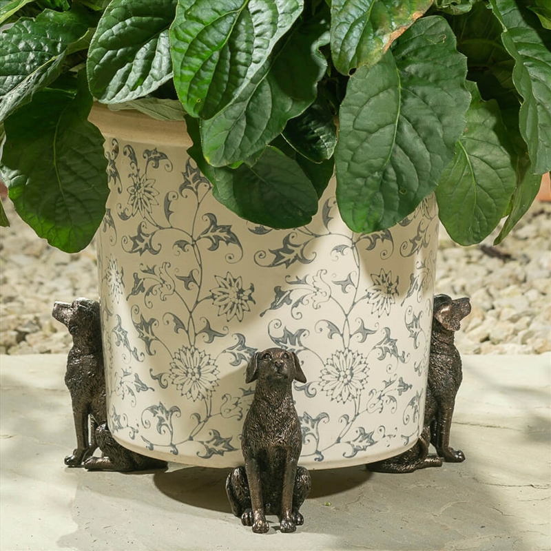 Potty Feet - Antique Bronze Labrador (Set Of 3)/Product Detail/Decor