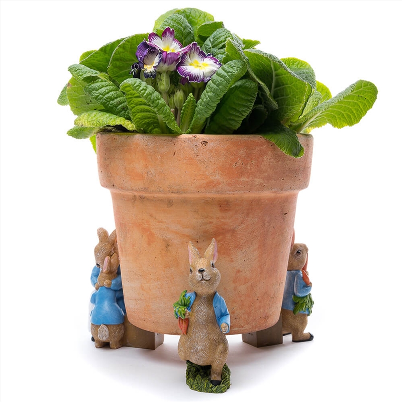 Potty Feet - Beatrix Potter Set 1 (Peter Rabbit)/Product Detail/Homewares