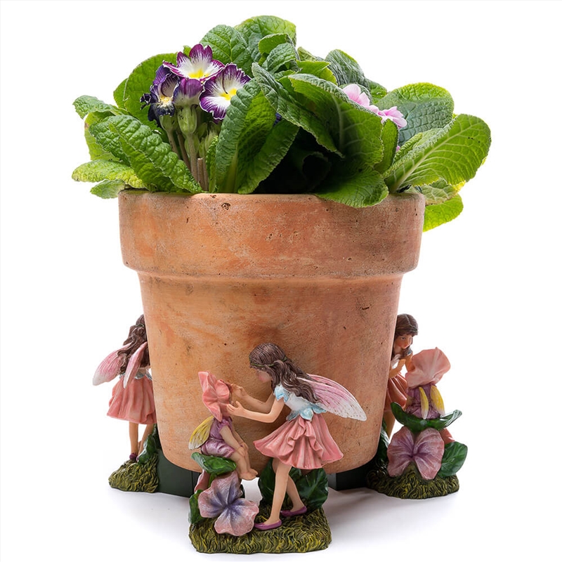 Potty Feet - Sweet Pea Fairies (Set Of 3)/Product Detail/Decor