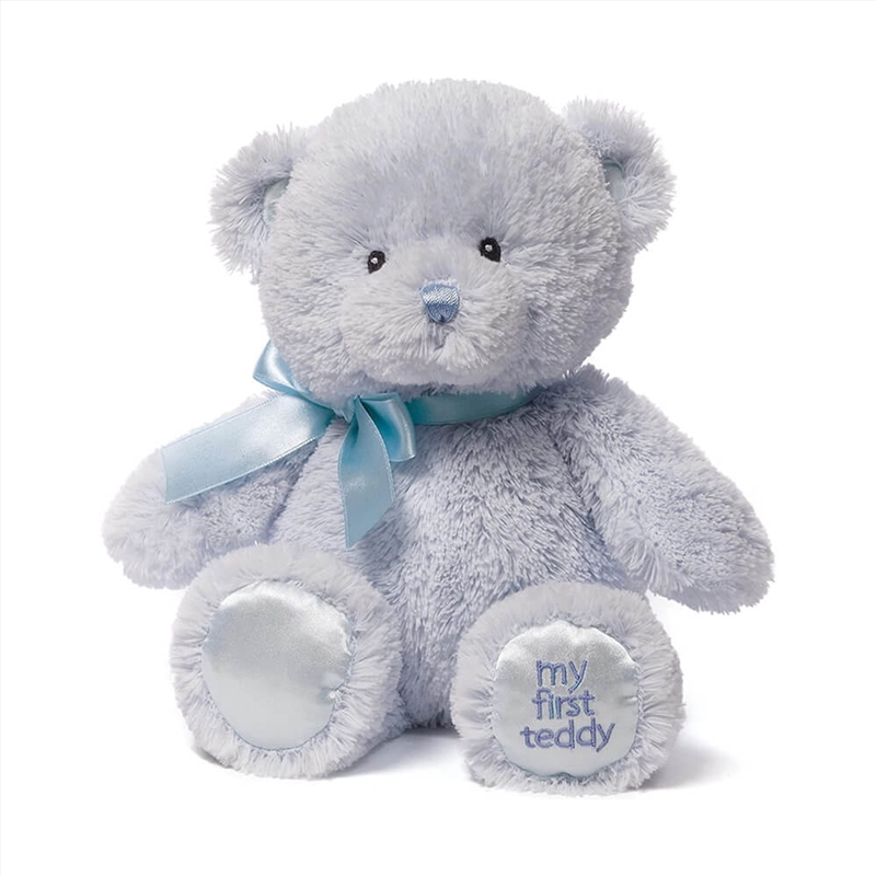 My First Teddy Blue 25Cm/Product Detail/Plush Toys