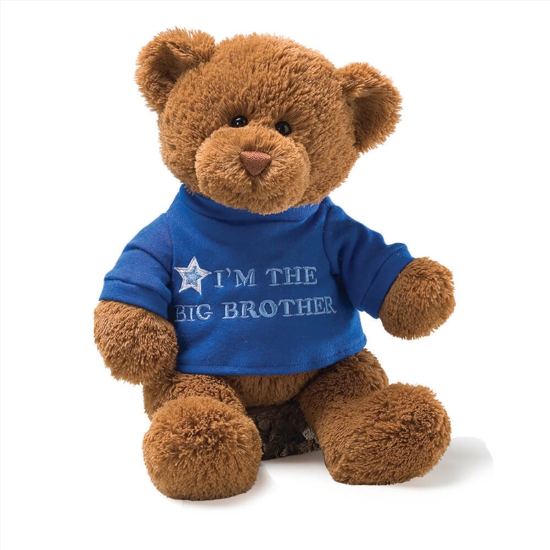 Bear - Big Brother (Blue)/Product Detail/Plush Toys