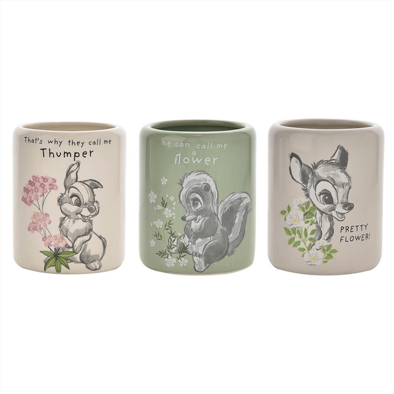 Disney Home - Forest Friends Set Of 3 Character Pots/Product Detail/Homewares