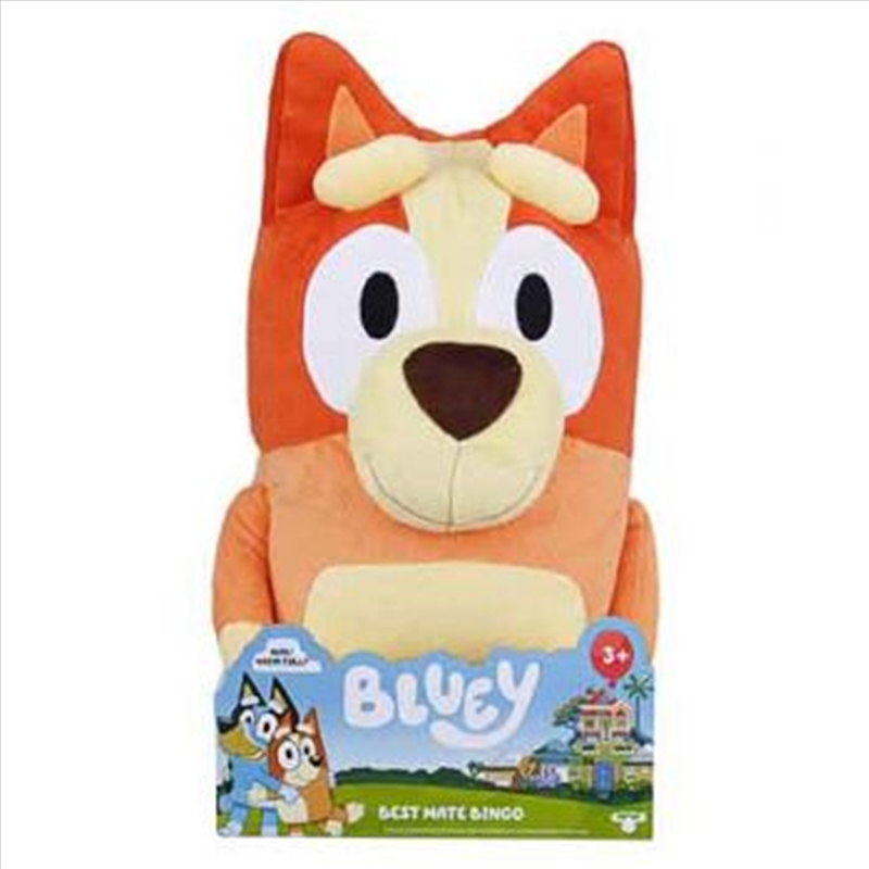 Bluey S2 Jumbo Plush - Single Pack Bingo (Sent At Random)/Product Detail/Card Games