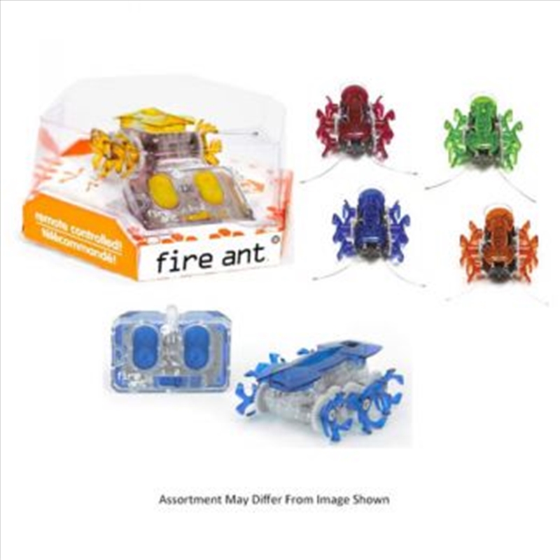 Hex Bug Fire Ant assorted (Sent At Random)/Product Detail/Toys