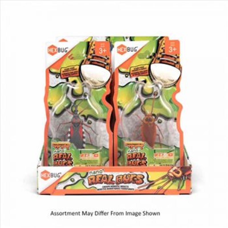 Hex Bug Nano Real Bugs Single assorted (Sent At Random)/Product Detail/Toys