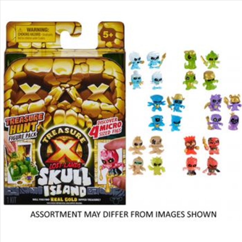 Treasure X Lost Lands Skull Island Treasure Hunters assorted (Sent At Random)/Product Detail/Toys