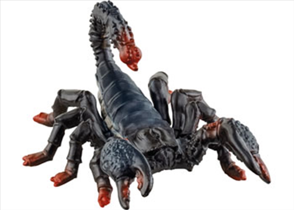 Emperor Scorpion/Product Detail/Toys