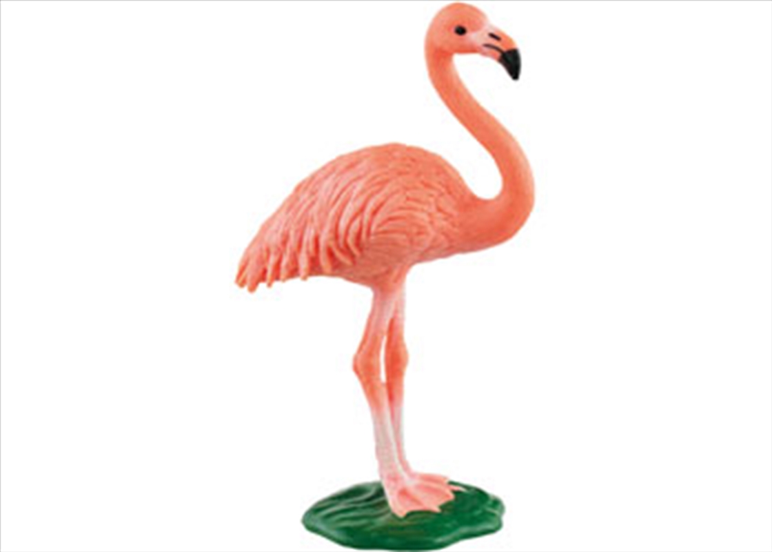 Flamingo/Product Detail/Toys