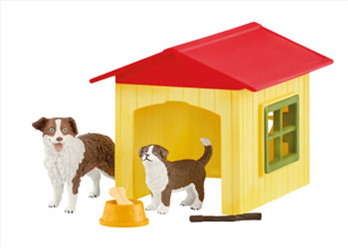 Friendly Dog House/Product Detail/Toys