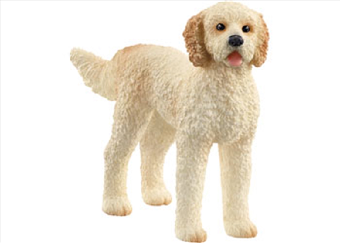 Goldendoodle/Product Detail/Toys