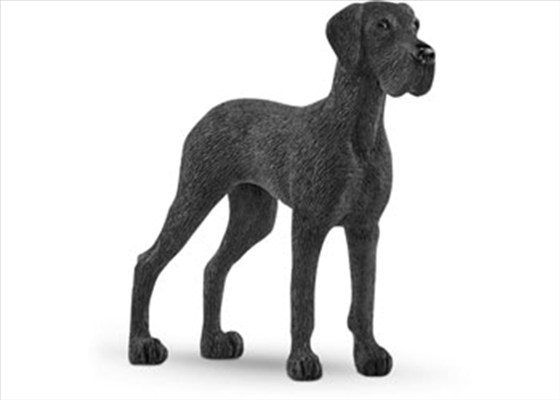 Great Dane/Product Detail/Toys