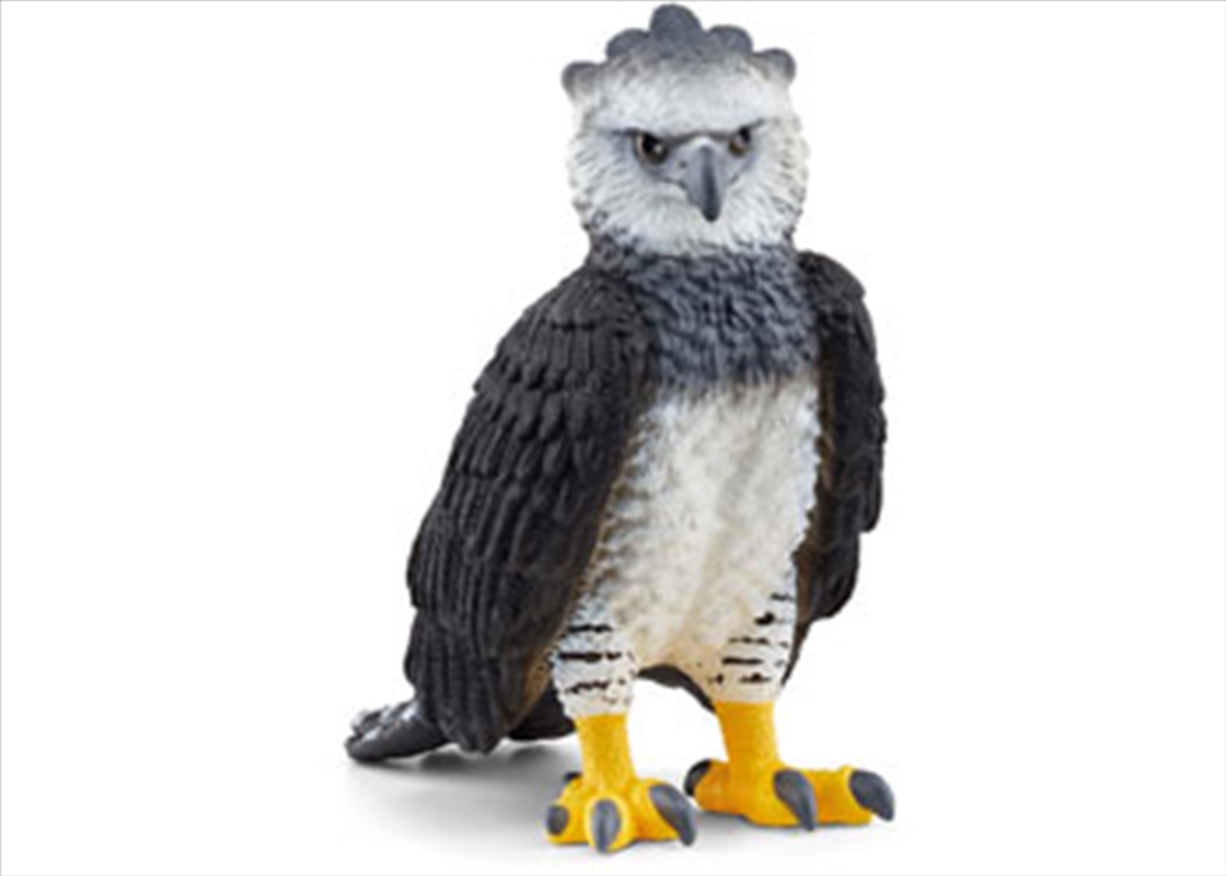 Harpy Eagle/Product Detail/Toys