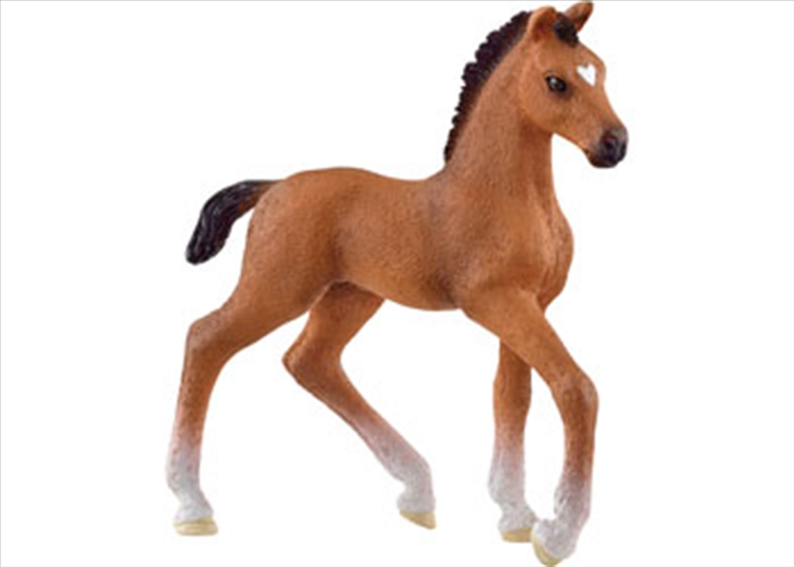 Oldenburger Foal/Product Detail/Toys