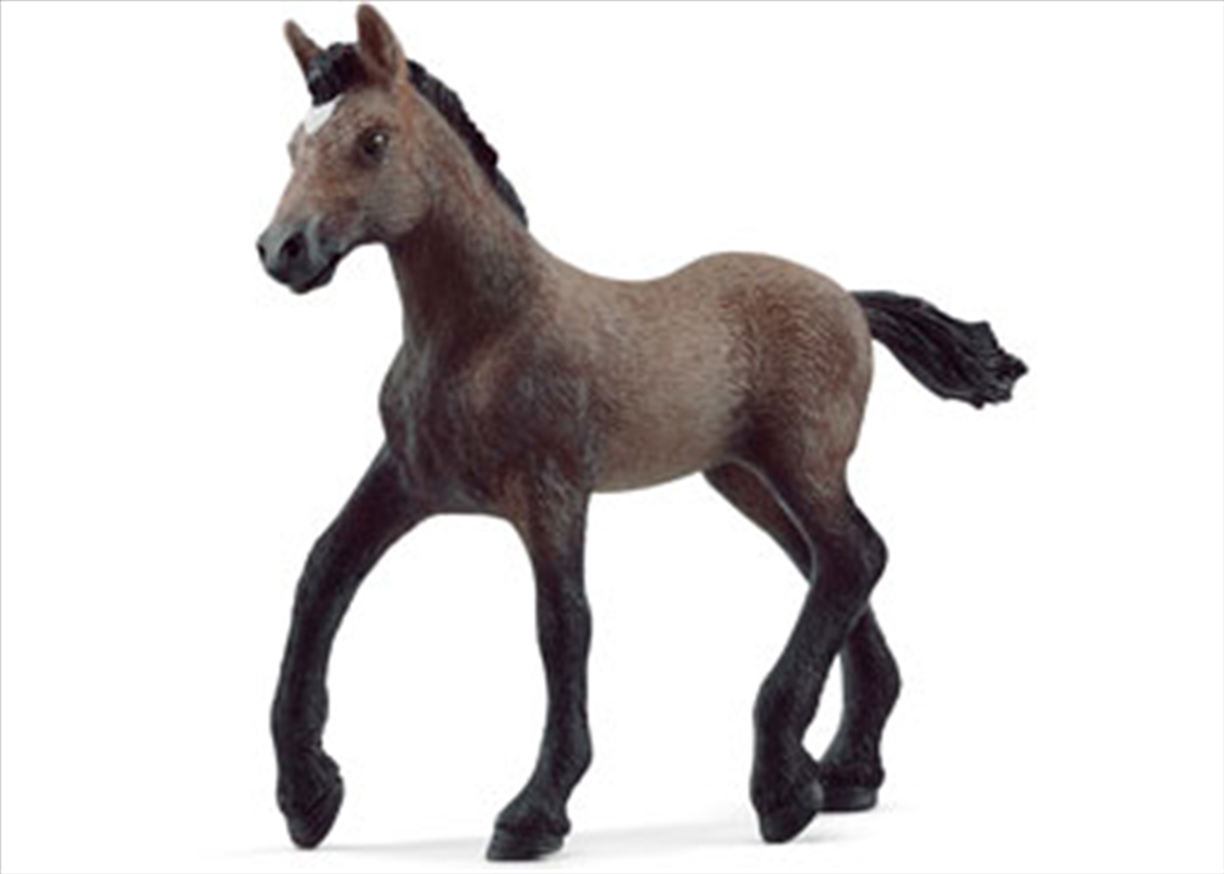 Peruvian Paso Foal/Product Detail/Toys