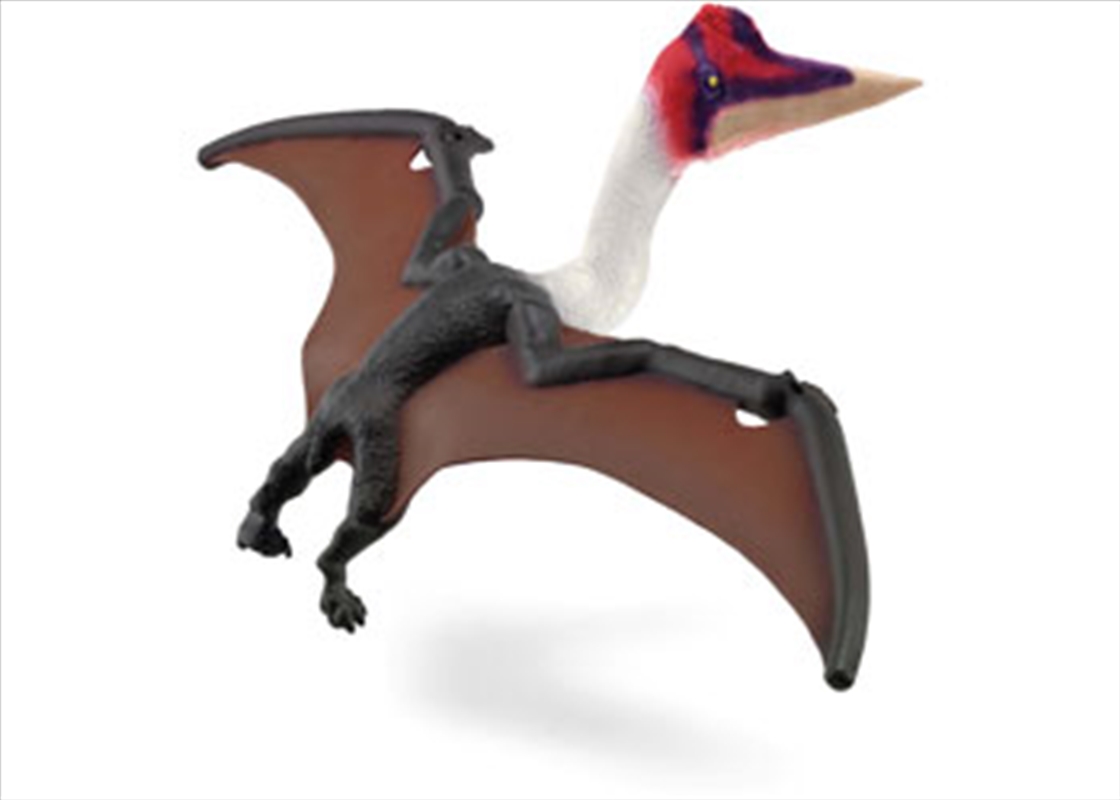 Quetzalcoatlus/Product Detail/Toys