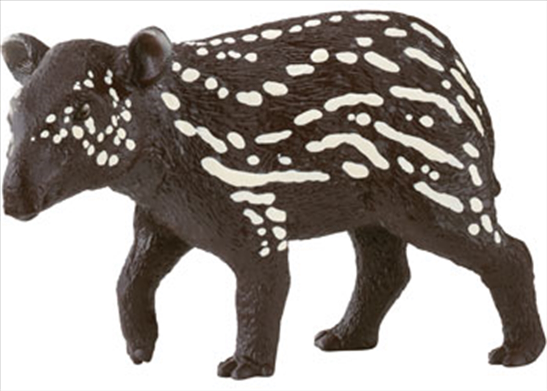 Tapir Baby/Product Detail/Toys