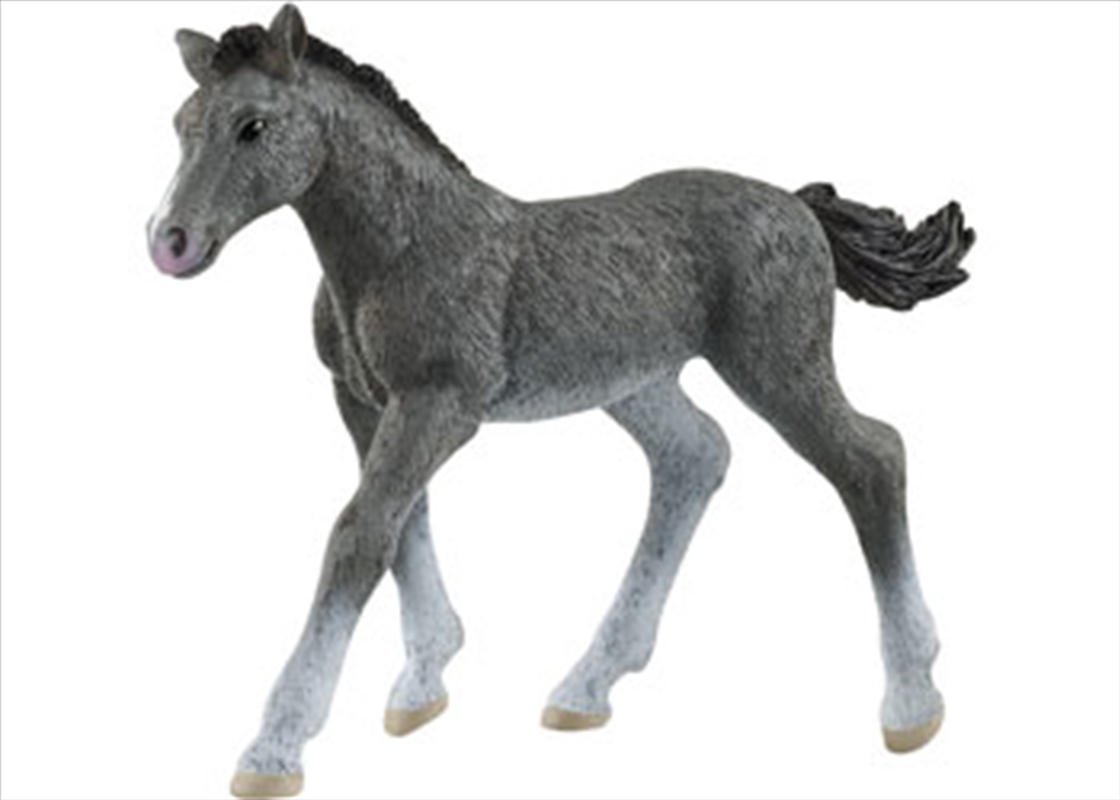 Trakehner Foal/Product Detail/Toys