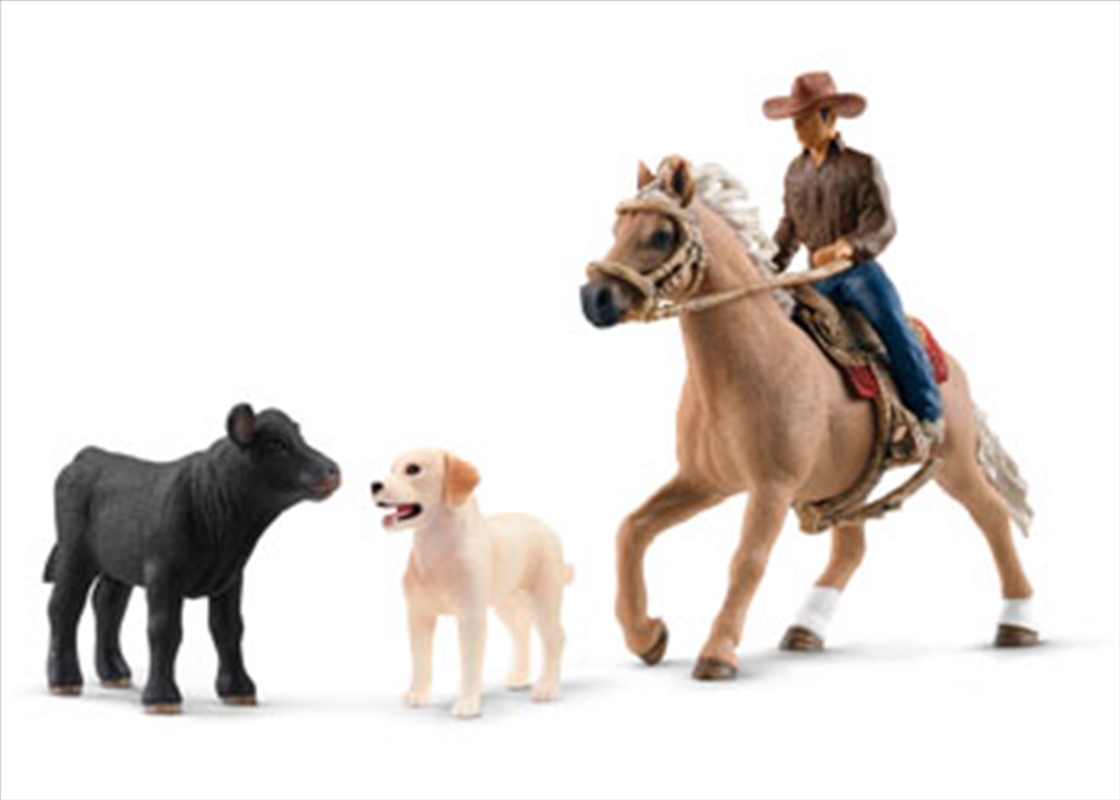 Western Riding Adventures/Product Detail/Toys