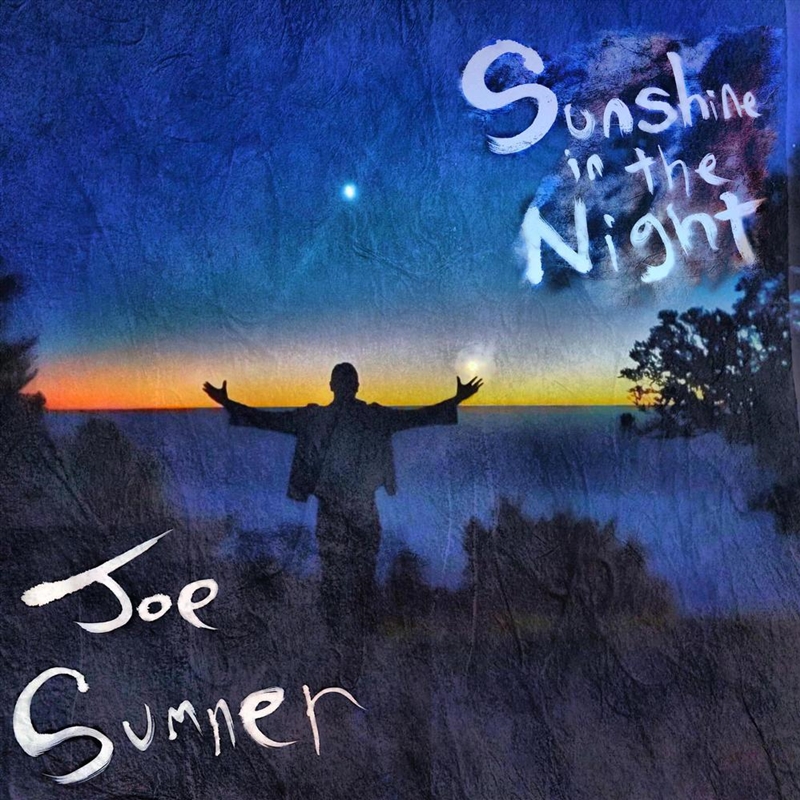 Sunshine In The Night (Lp) (Black Lp)/Product Detail/Rock/Pop