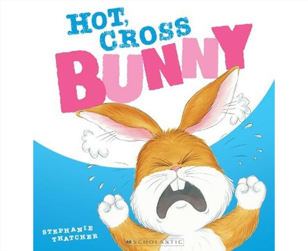 The Hot, Cross Bunny/Product Detail/Early Childhood Fiction Books