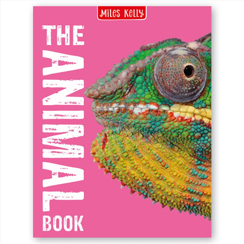 The Animal Book (Miles Kelly)/Product Detail/Childrens