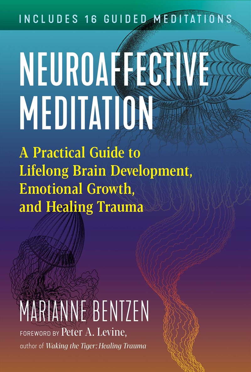 Neuroaffective Meditation/Product Detail/Psychology