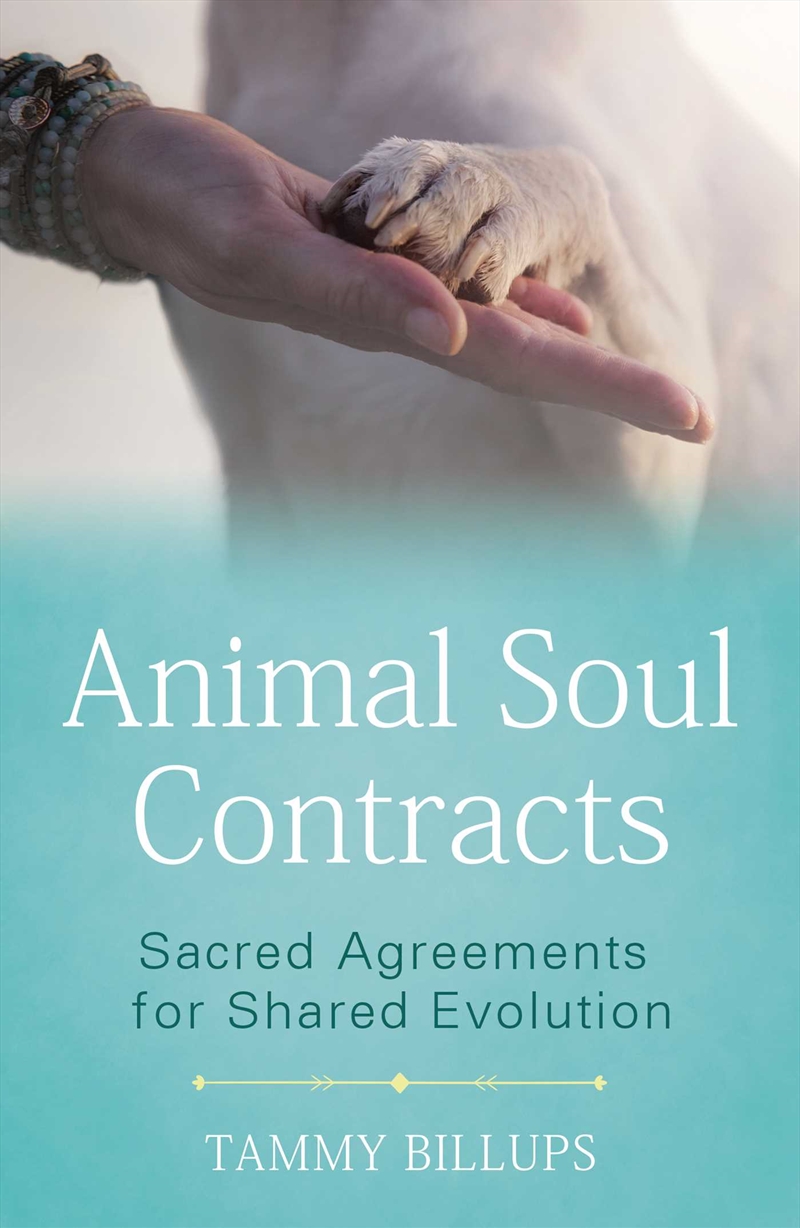 Animal Soul Contracts/Product Detail/Animals & Nature