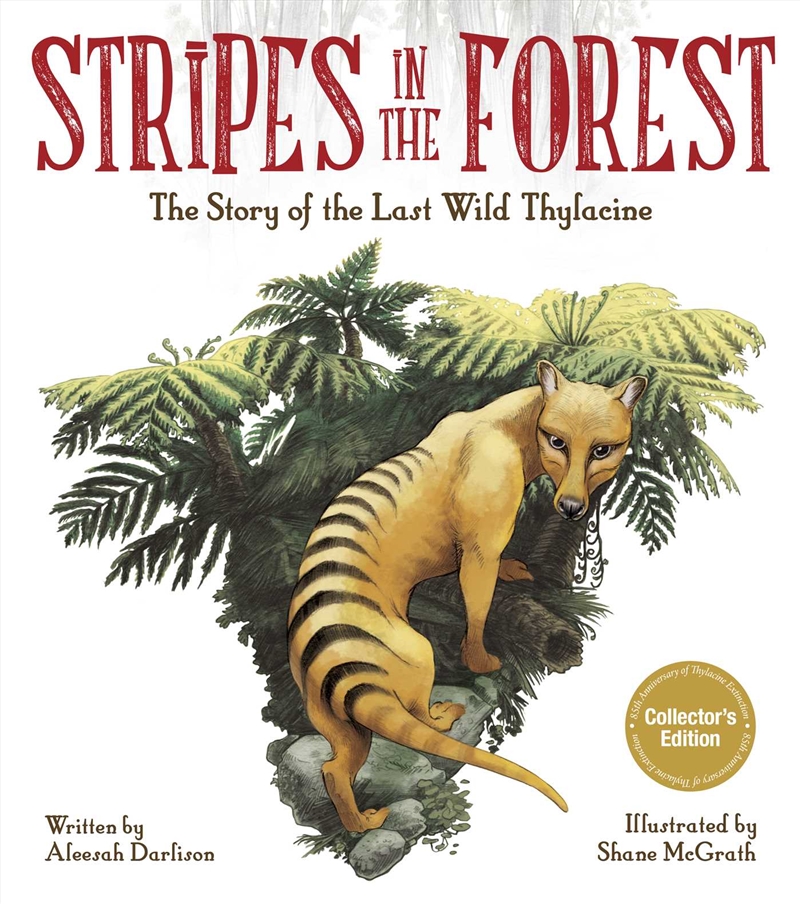 Stripes in the Forest/Product Detail/Childrens Fiction Books