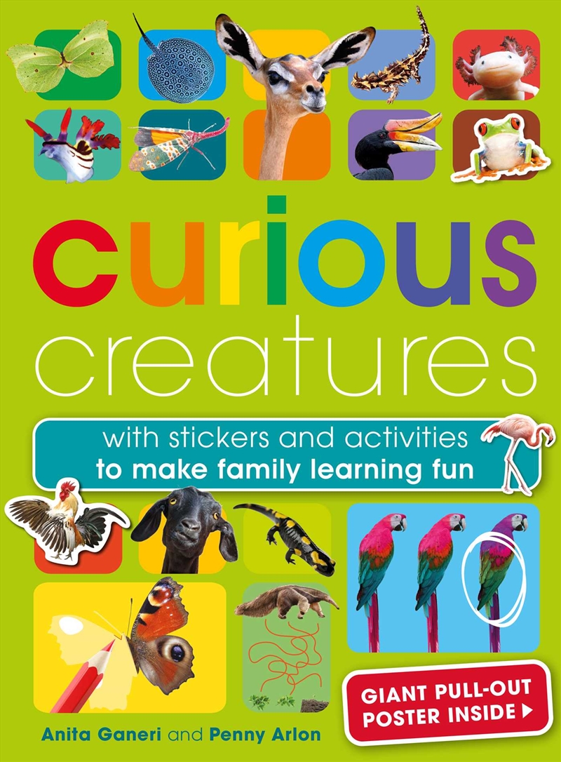 Curious Creatures/Product Detail/Kids Activity Books